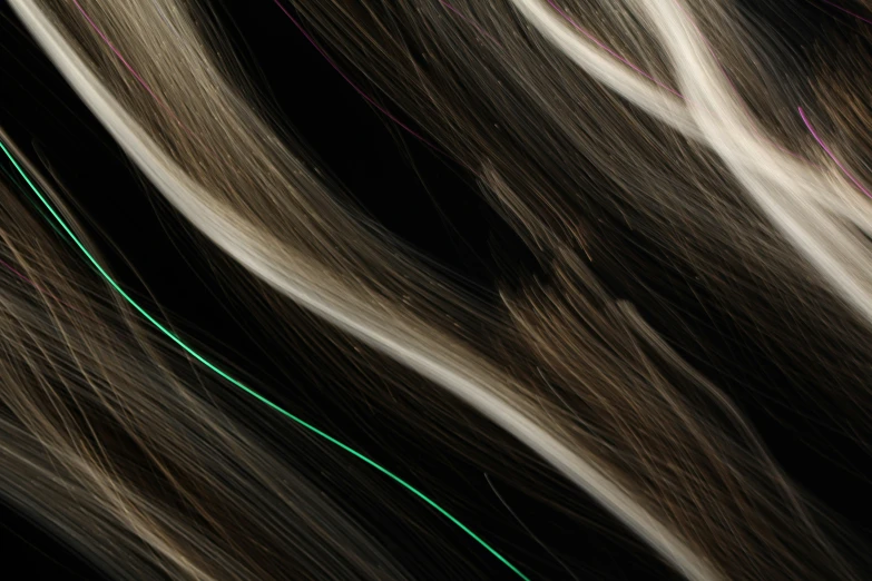 a close up of the wavy hair of a young person