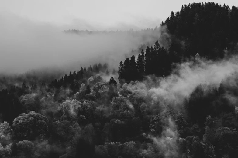 the mountains are covered with fog and trees