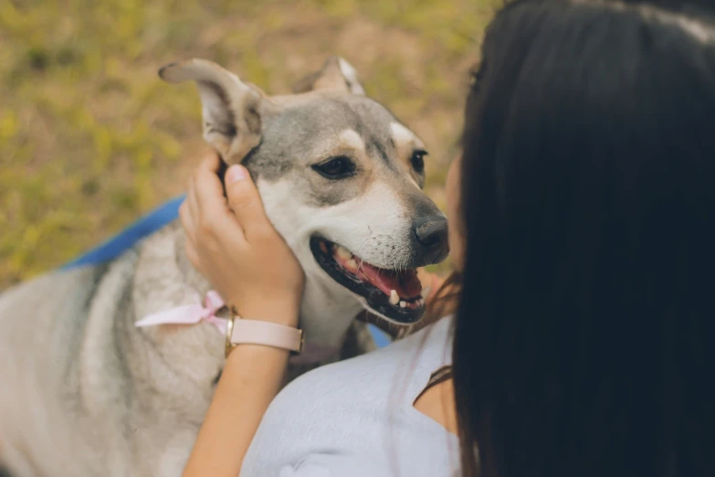 a woman petting her dog outside in the yard