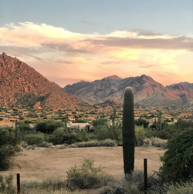 the view of a desert with mountains and trees in the foreground