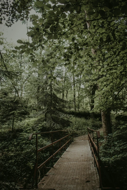 a bridge is over a brick pathway in the middle of the woods