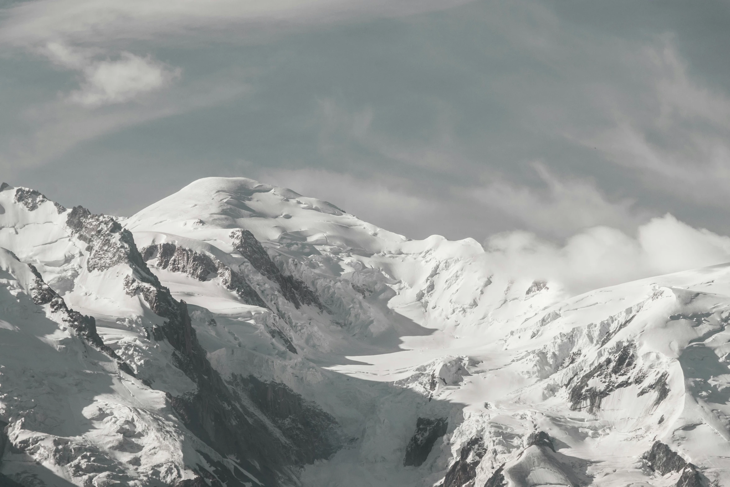 a group of birds fly past snow covered mountains