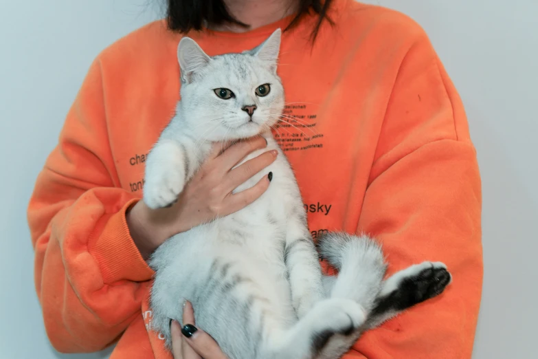 a woman in an orange shirt holding a white cat