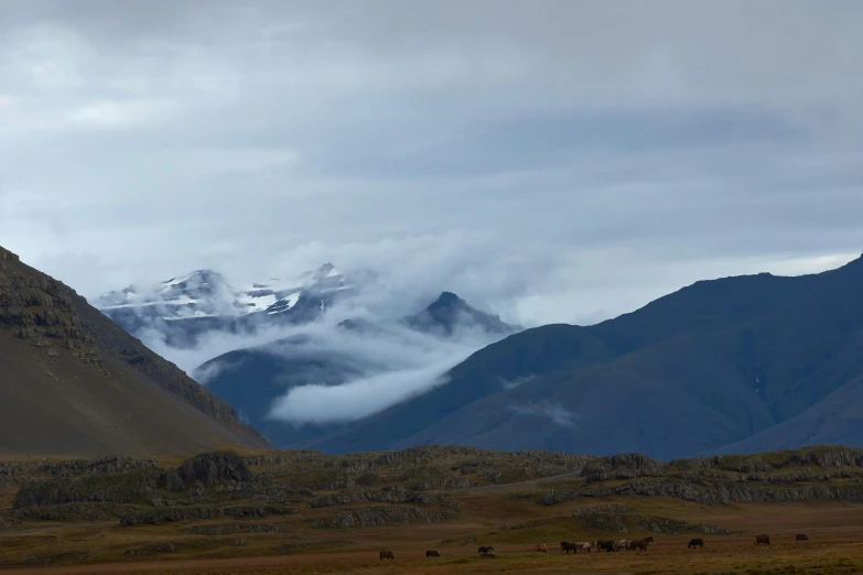 a very cloudy mountain in a valley with brown grass and rocks