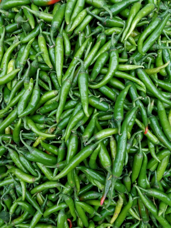 green chilli peppers as seen from above