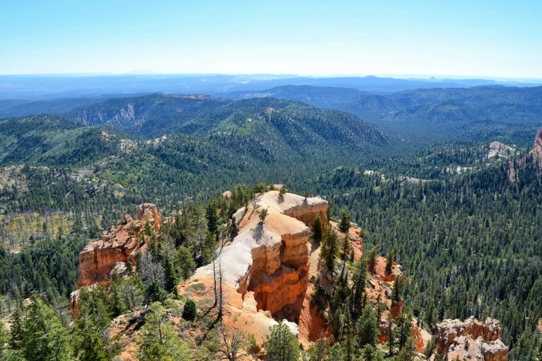 there is a large cliff with lots of trees on it