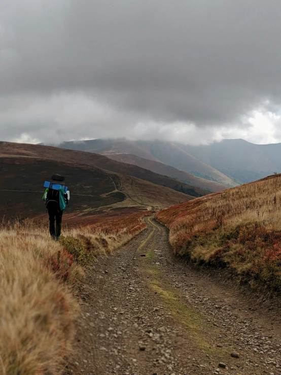 a person walking on a dirt road in a mountainous area