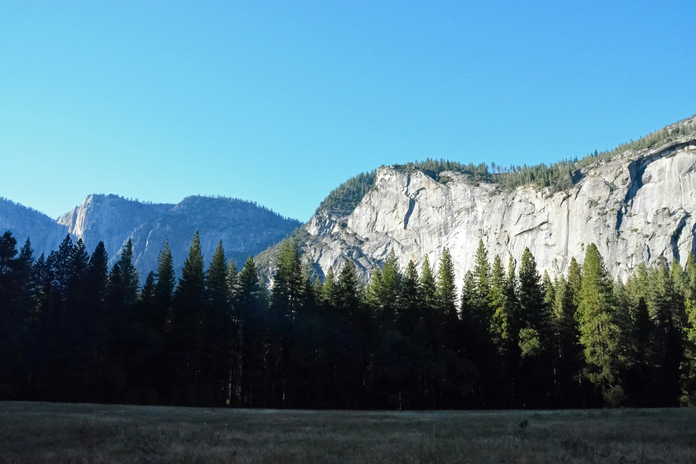 trees and mountains are near the forest