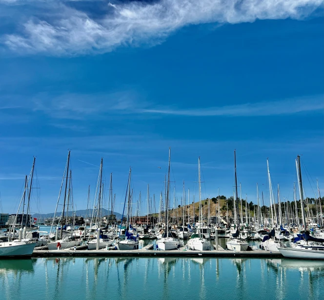 boats are parked in the marina on a clear day