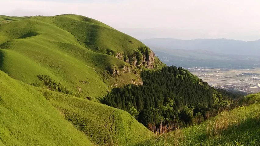 some mountains are lush with green grass