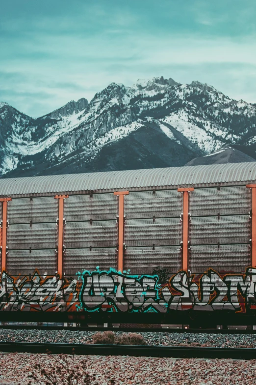 a train with graffiti sitting by some mountains