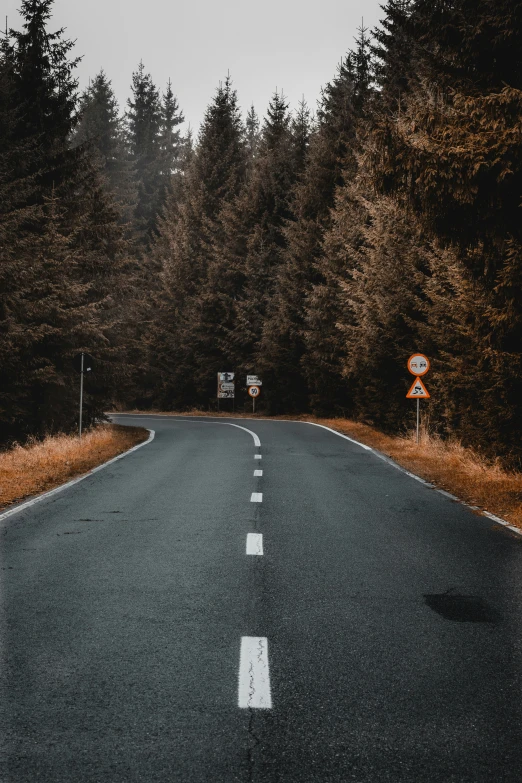 an empty street in a remote region surrounded by trees