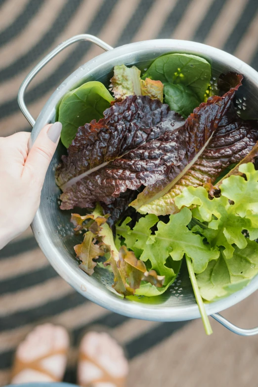 a close up of a person holding a plate with salad