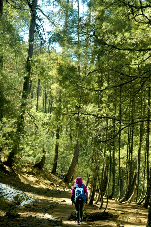 two people riding on a bike through a forest