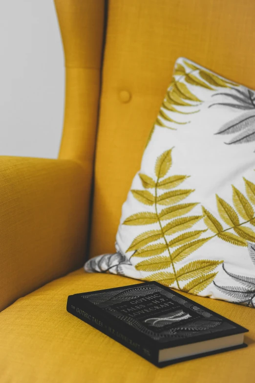 an image of book on the sofa next to pillows