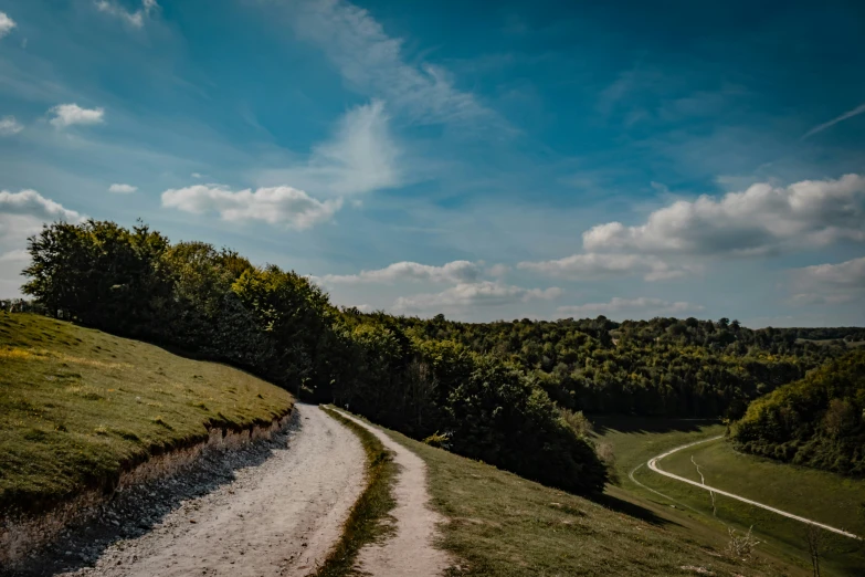 the view of a grassy landscape from the top of a hill