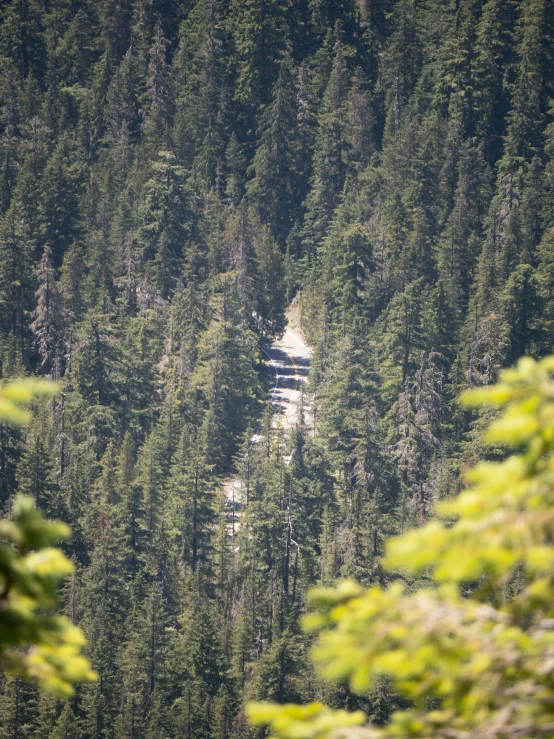 the top of the mountain is surrounded by trees and snow