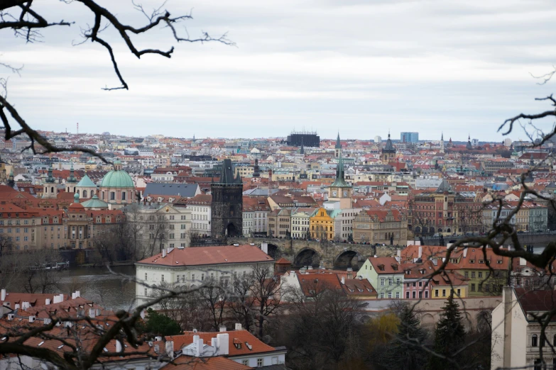 view of old buildings in the city and trees