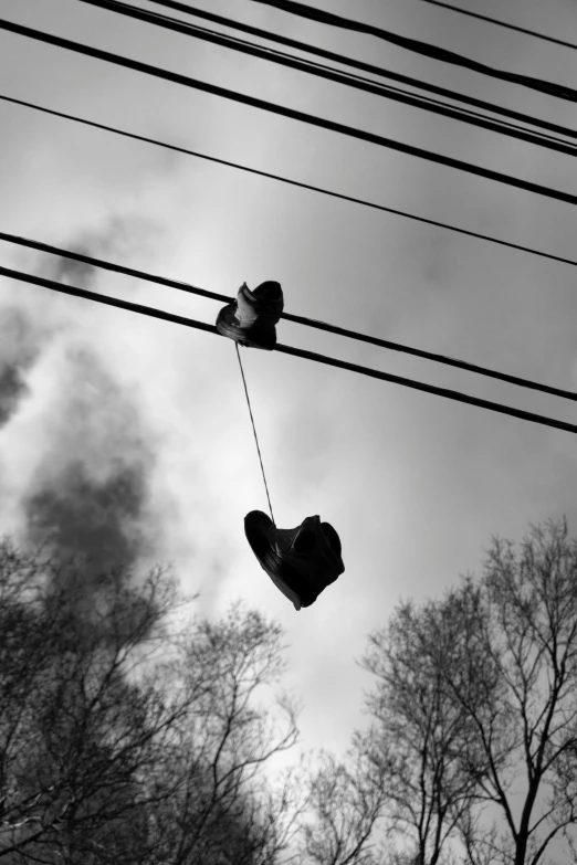 two shoe shoes hanging from telephone wires and trees in the background