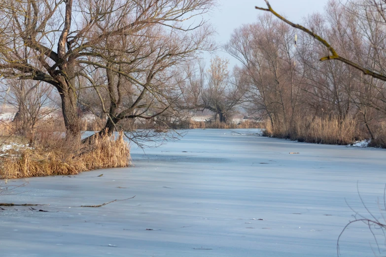 a river with snow and ice and trees without leaves