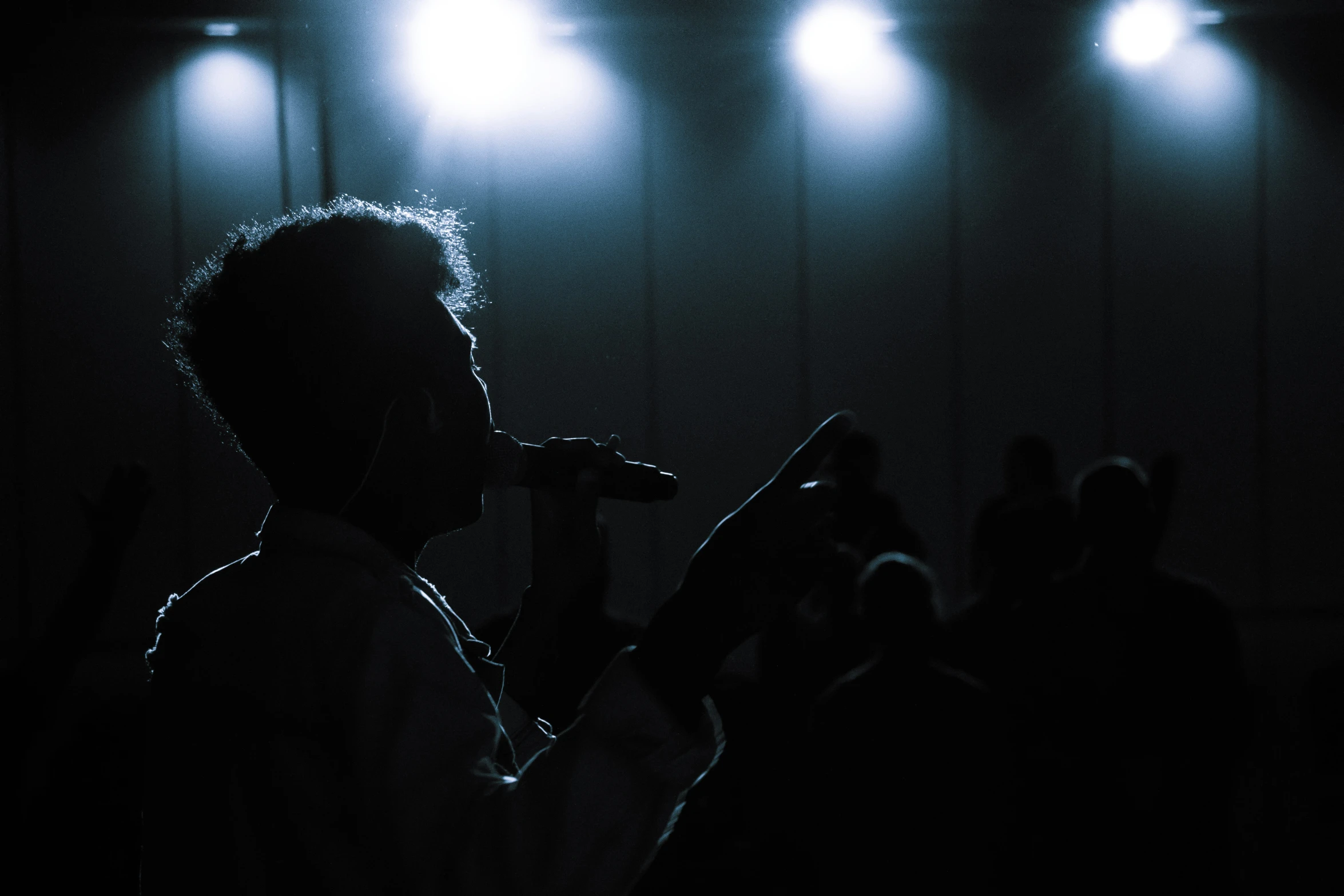 the silhouette of an adult and audience in front of a microphone on stage