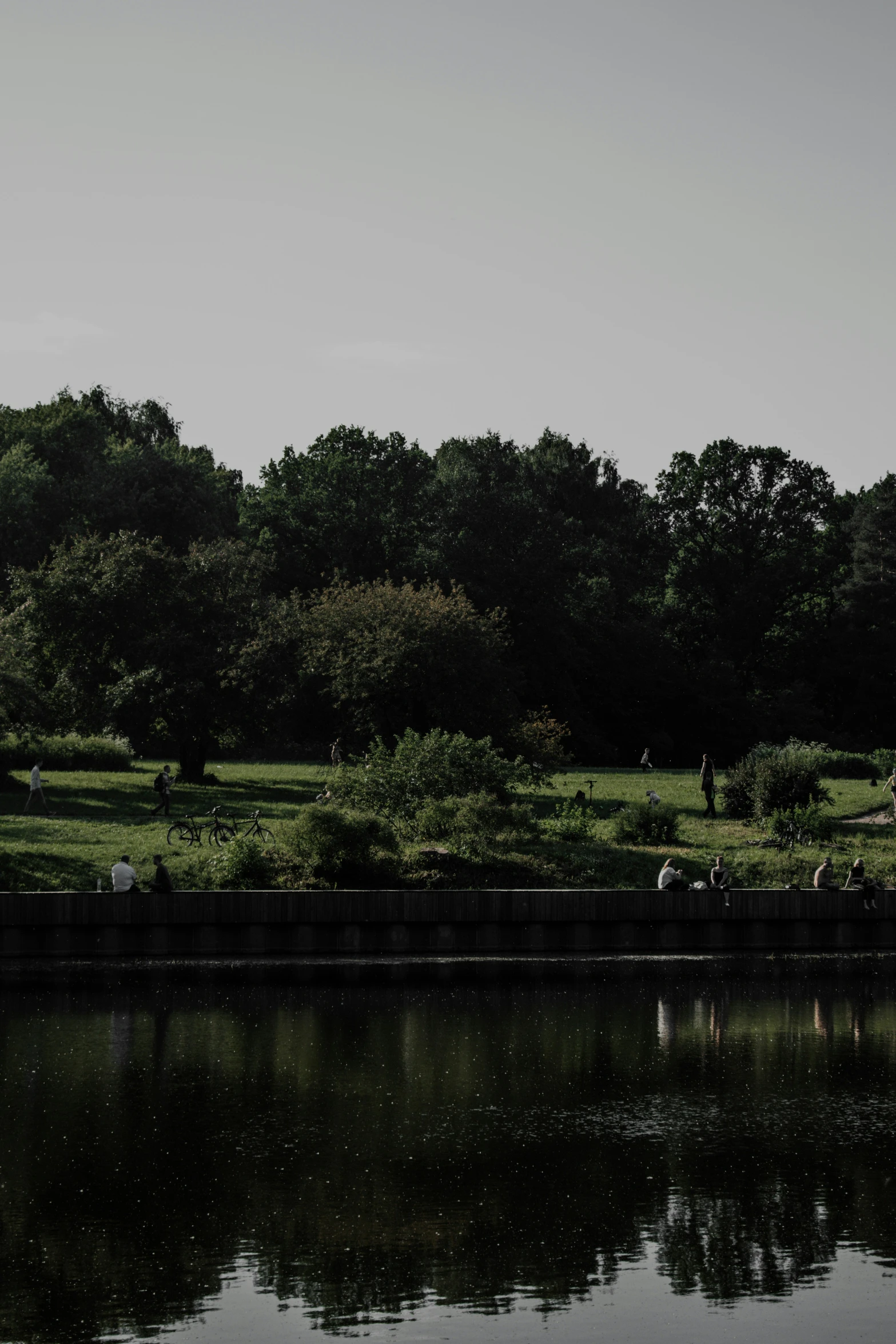 some cows standing in a field on some grass