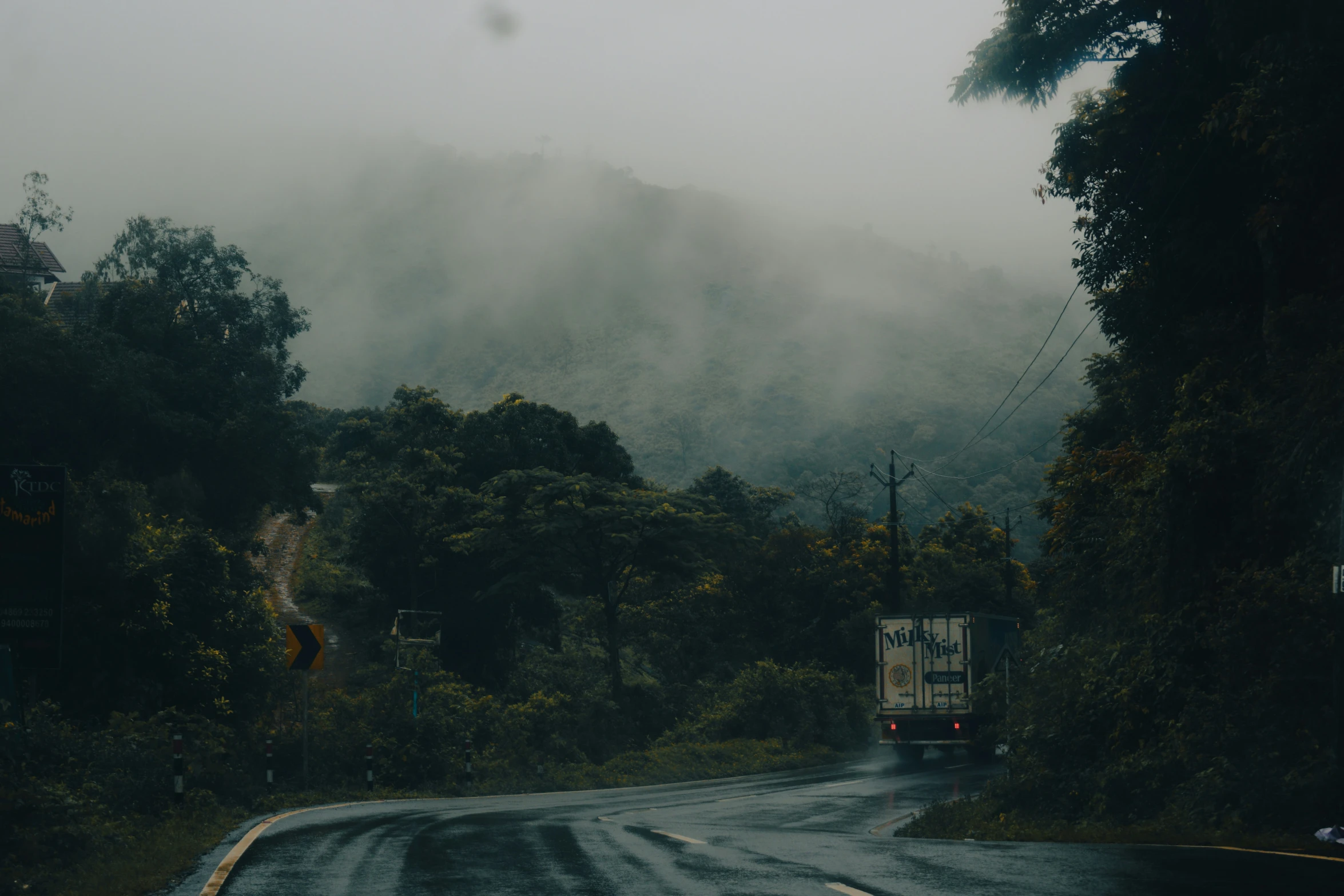 fog fills the air above an empty road