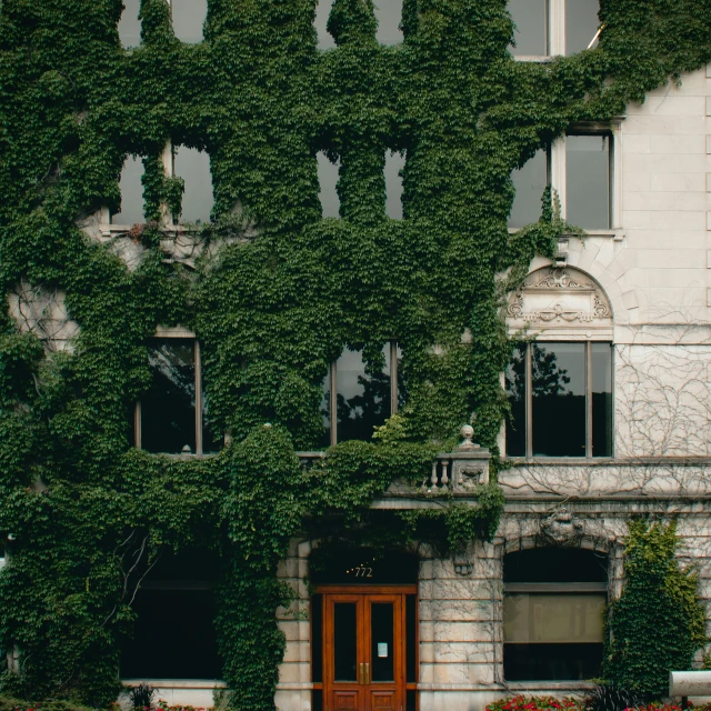 an old stone building covered in ivy