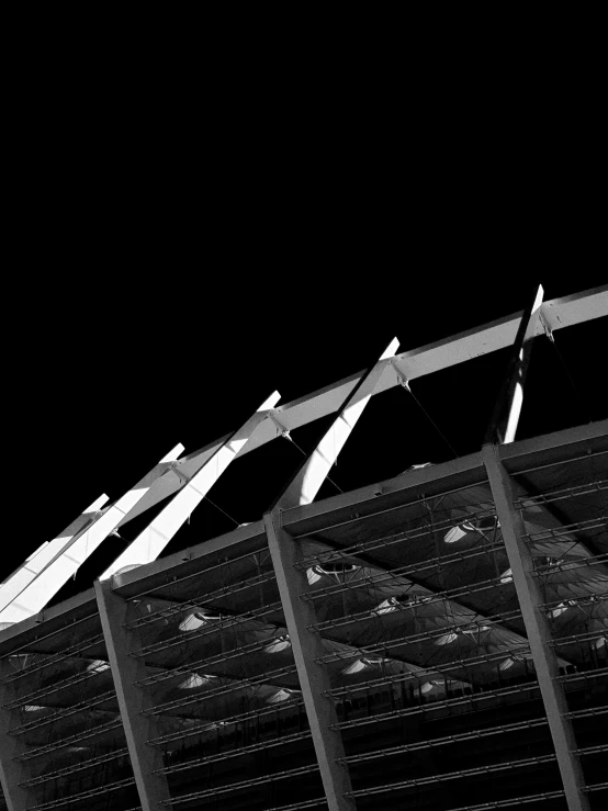 white birds flying over a large structure at night