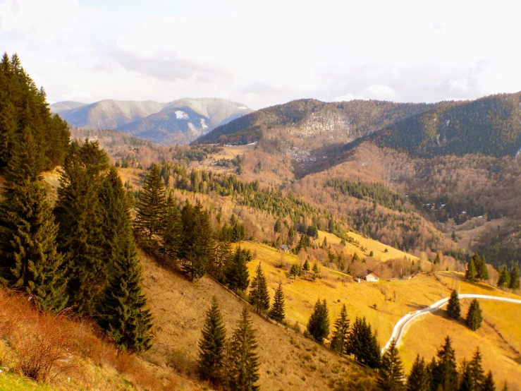 a mountain range in autumn time with golden foliage