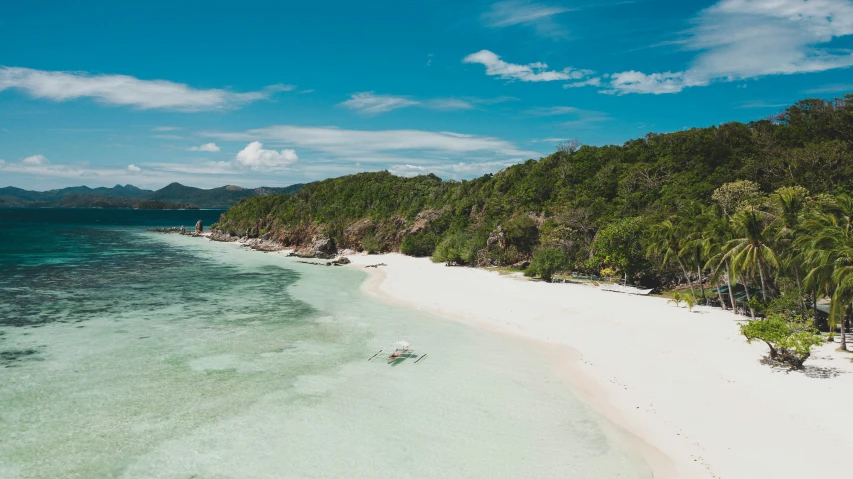 a deserted beach near trees under blue skies