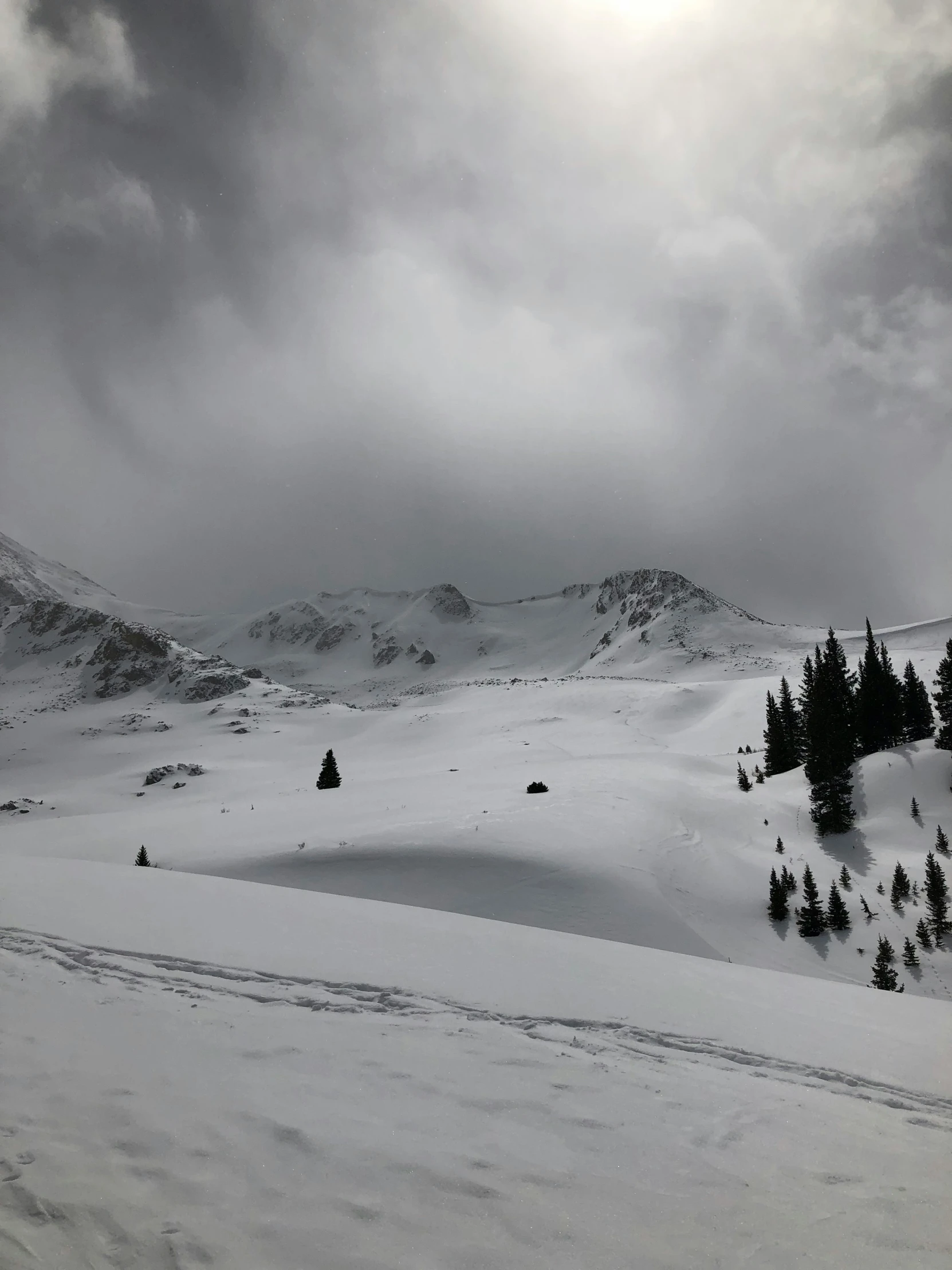 a snow covered hill with a small fir forest on the other side