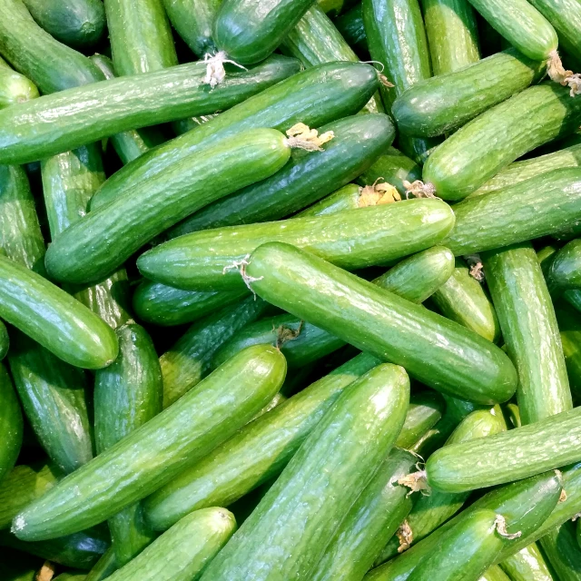 several cucumbers in bunches stacked together