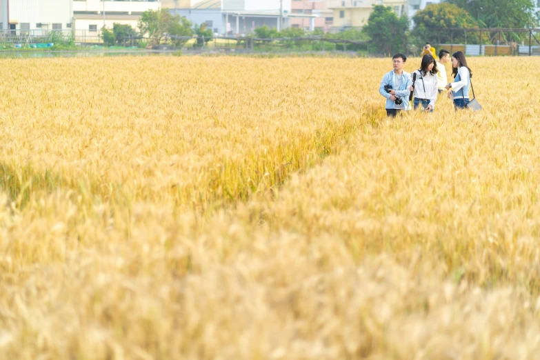 two s walking through the grass with a kite in hand