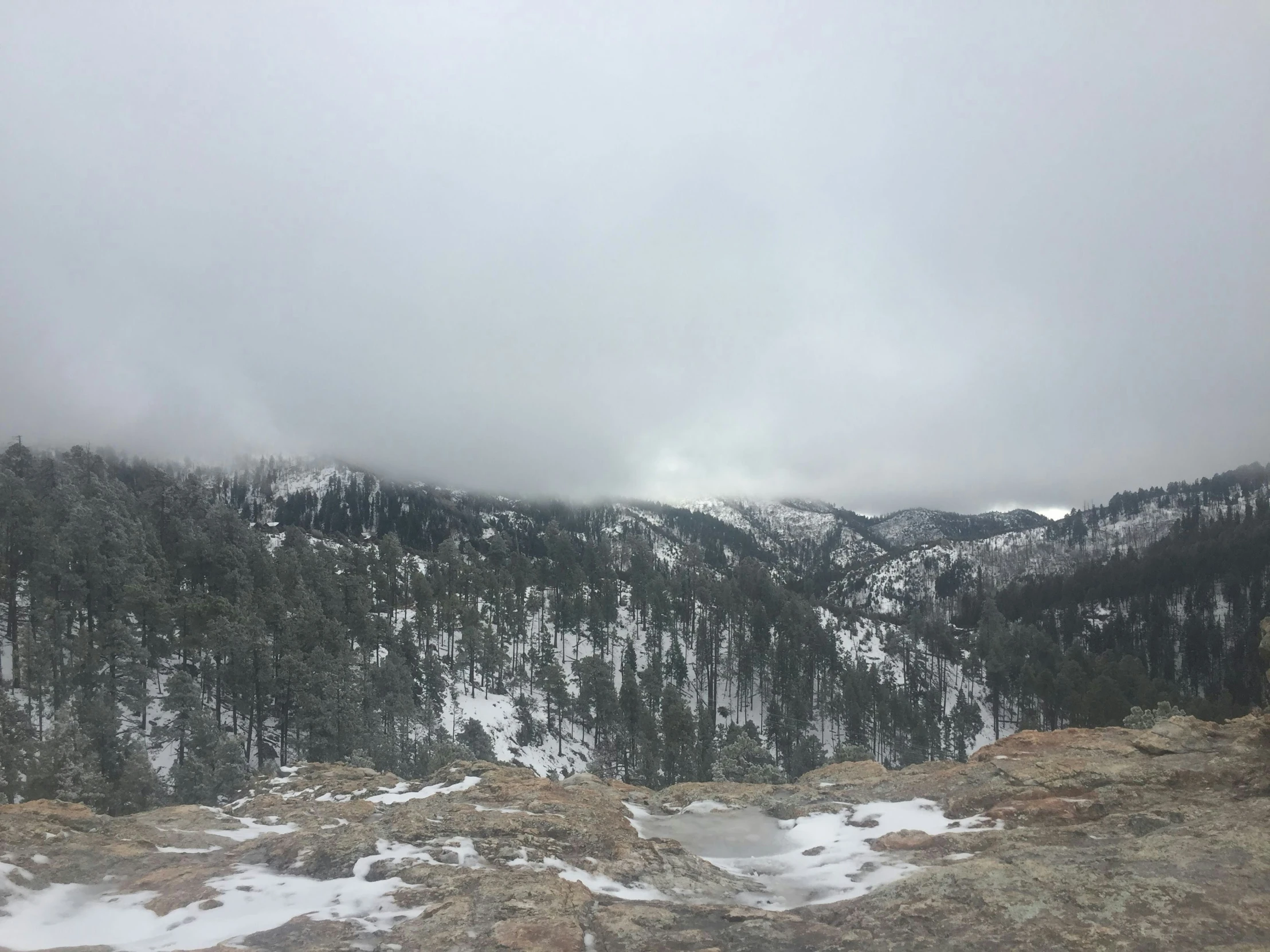 snowy mountains surrounded by trees and trees with no leaves on them