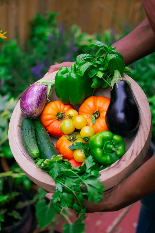 a wooden bowl filled with assorted vegetables