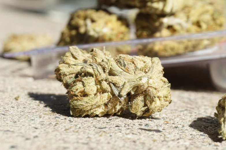 a pile of marijuana buds sitting on the ground