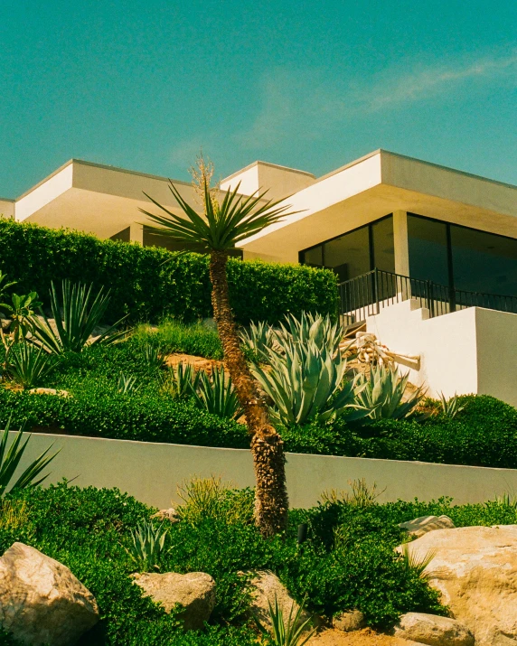 an architectural home that has lawn, rocks and shrubs around the planter