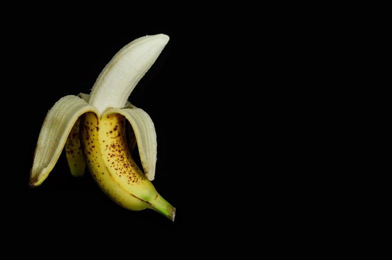 an open white flower that is on top of a black background