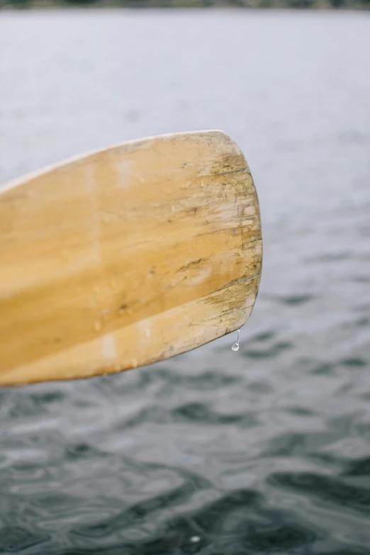 a small yellow object hanging out of the water