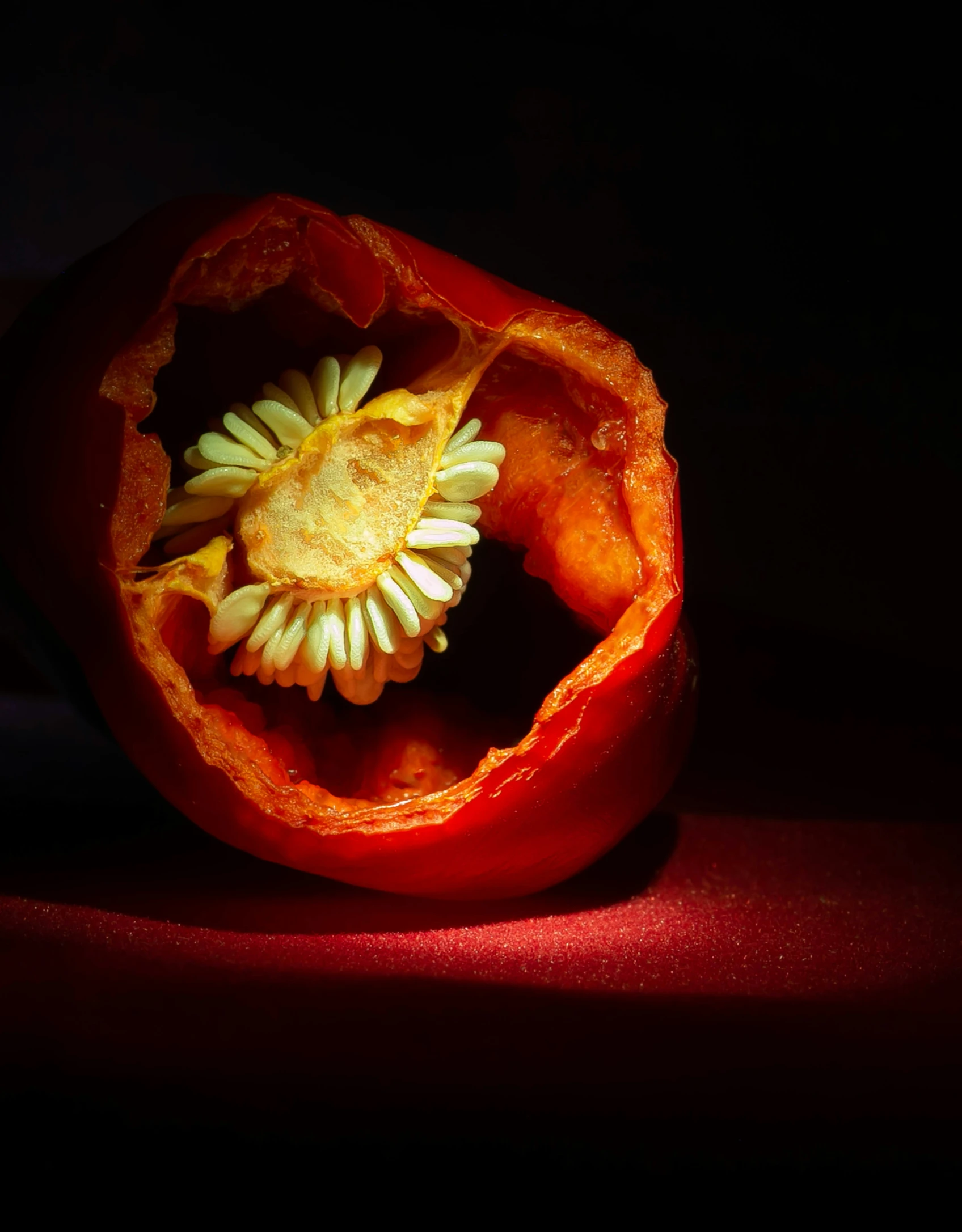 a piece of fruit with a flower on it