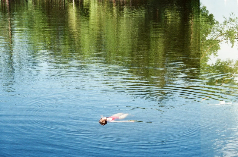 a person in the water with his dog