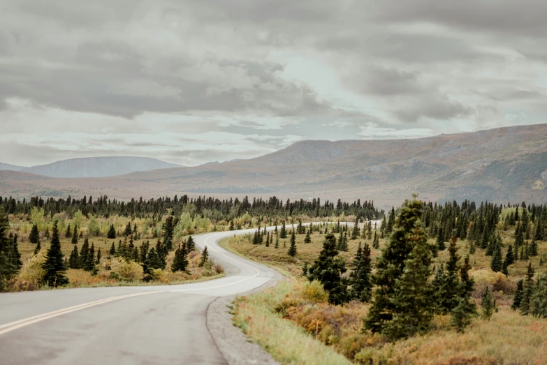 a road curves into the distance on a mountaintop