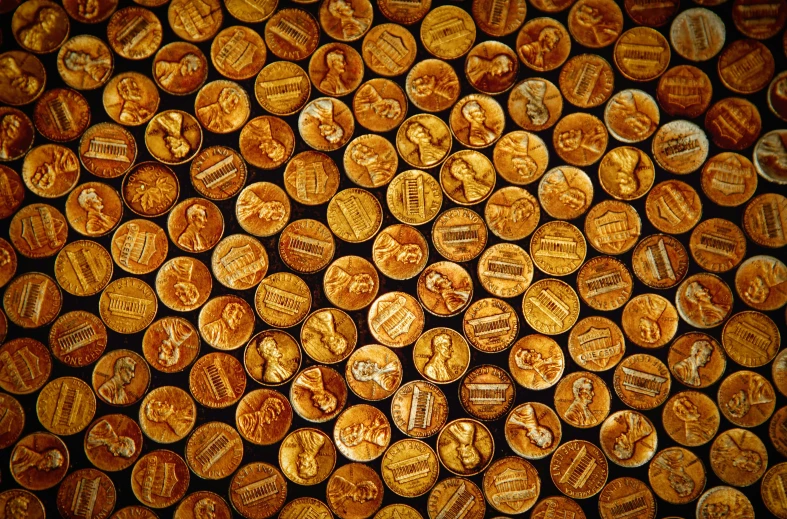 wood slices arranged in the shape of a circle