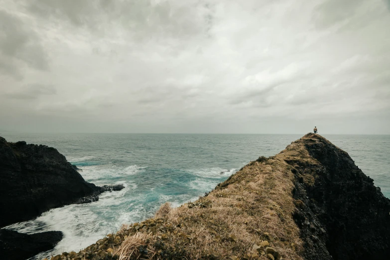 a person on a surfboard sitting on a hill overlooking the ocean