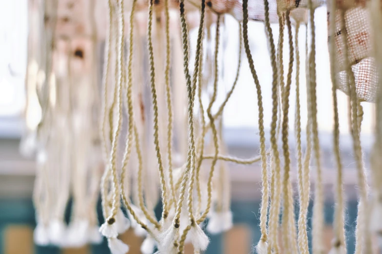 several ropes hang from a white wall