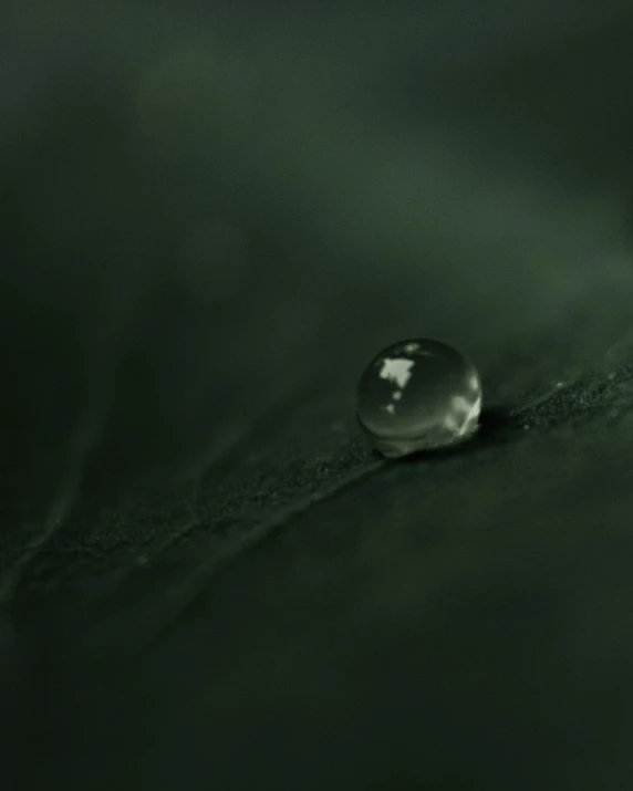 a drop of water that is laying on a surface