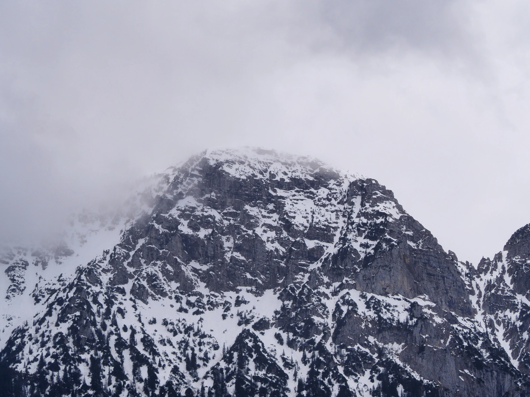 a mountain side covered in snow with several trees on top