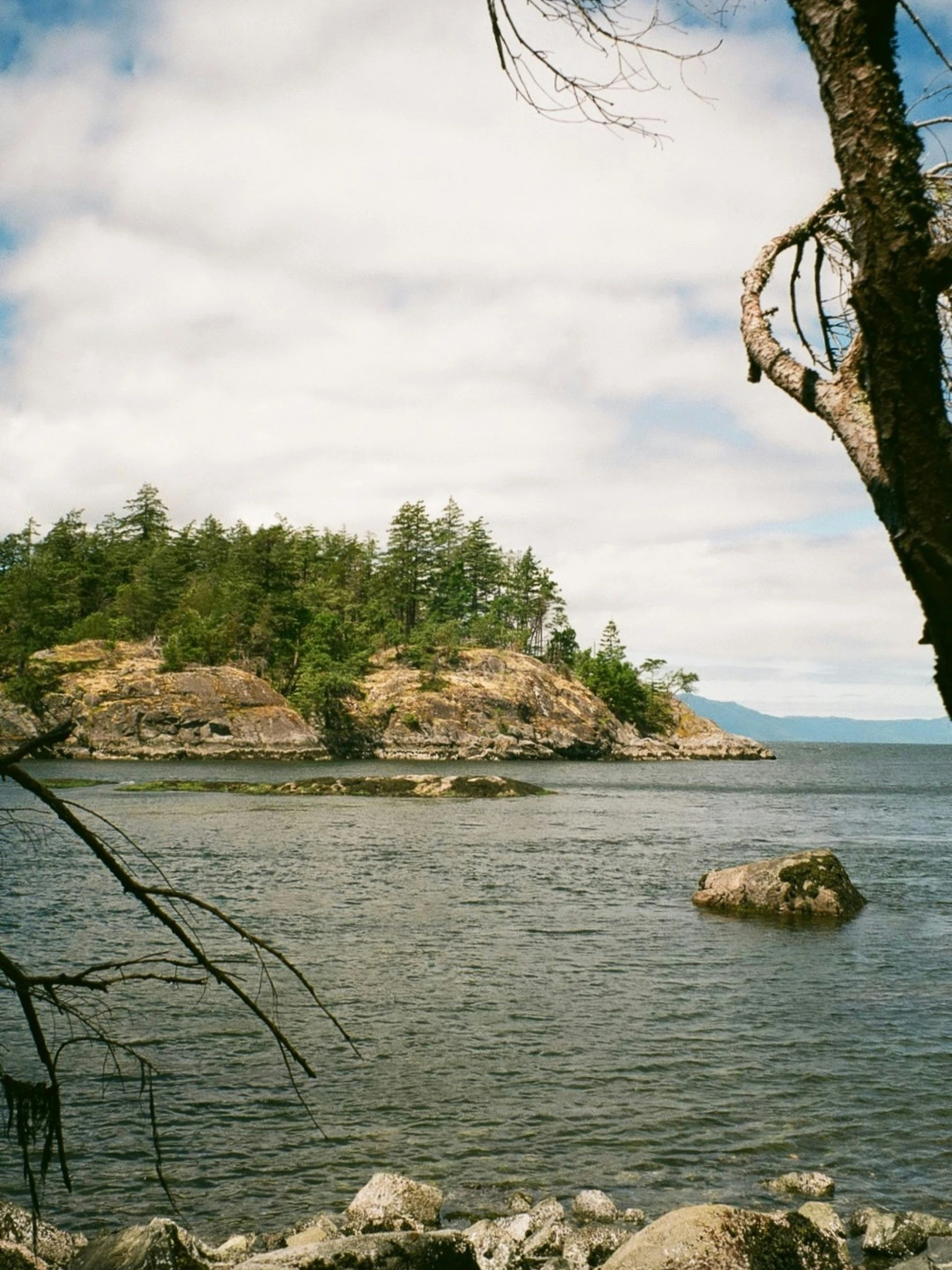 a lake with a large, forested island in the distance