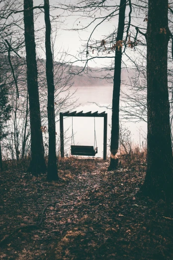 a swing in the woods next to some trees